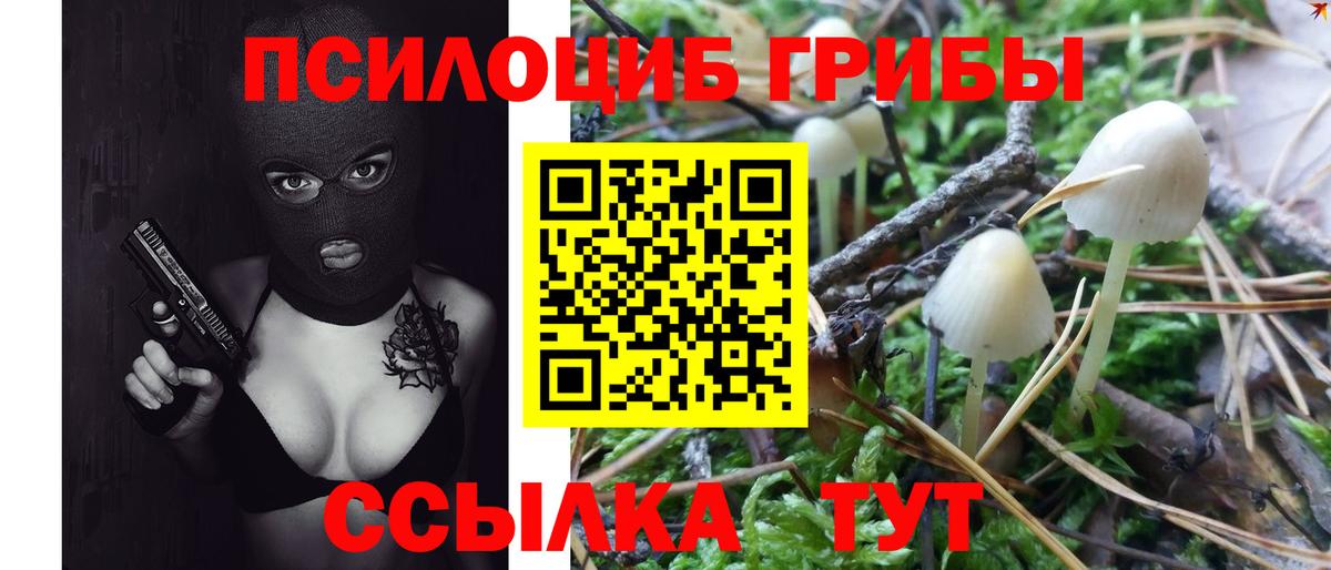 Галлюциногенные грибы мицелий Железноводск